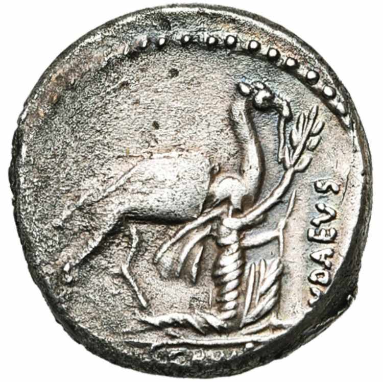 A. Plautius, AR denier, 55 av. J.-C., Rome. ... 