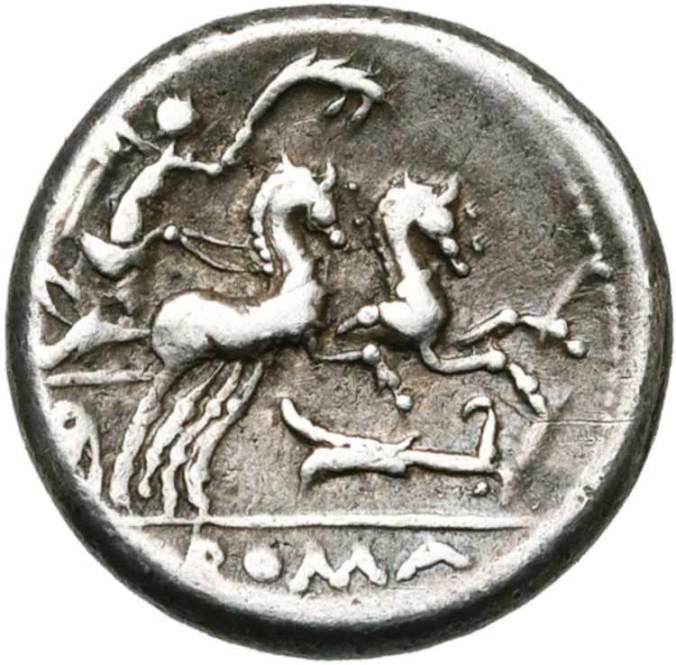 M. Cipius, AR denier, 115-114 av. J.- C., ... 