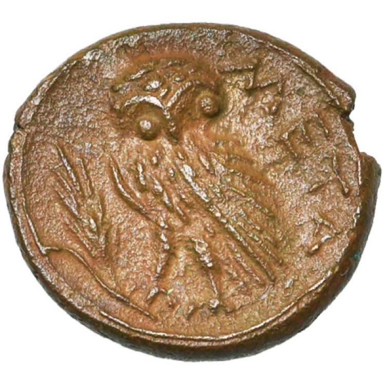 LUCANIE, METAPONTE, AE bronze, vers 330 av. ... 
