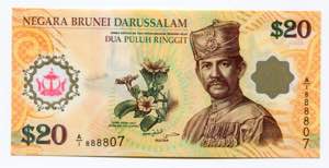 Brunei 20 Dollars 2007 - ... 