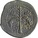 Guglielmo II (1166-1189). Trifollaro, rame ... 