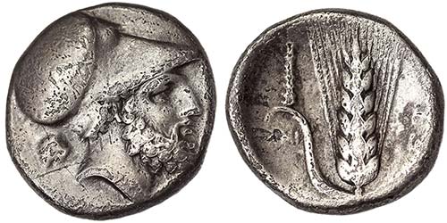 Lucania Metapontum  Stater 340-330 ... 