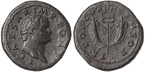 Empire Titus (79-81 AD) Dupondius ... 