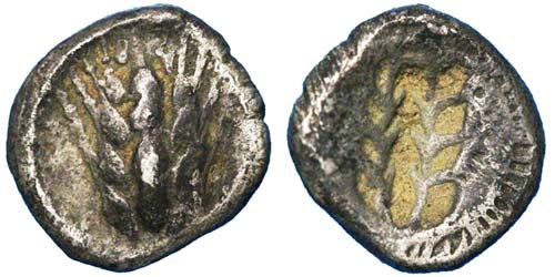 Lucania Metapontum  Obol ca 500 BC ... 