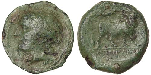 Campania Naples  Bronze 250-225 BC ... 