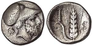 Lucania Metapontum  Stater 340-330 BC SNG ... 