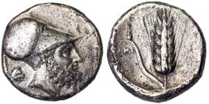 Lucania Metapontum  Stater 340-330 BC   7.41 ... 