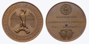 Italy Pisa   1868 Commemorative medal to ... 