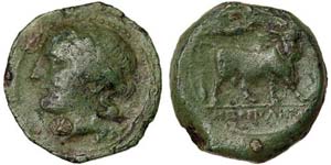 Campania Naples   Bronze 250-225 BC Ø 16 mm ... 