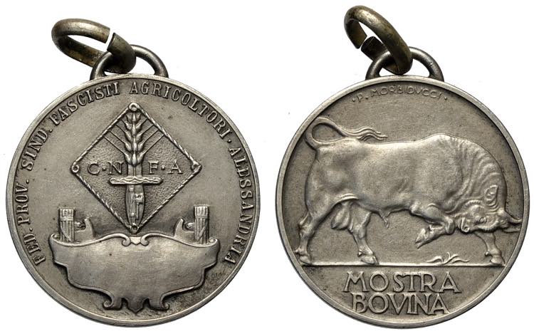 Alessandria, Medaglia per la ... 