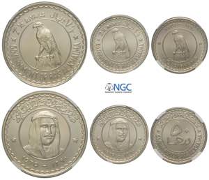 Ras Al-Khaimah, United Arab Emirates, Falcon ... 