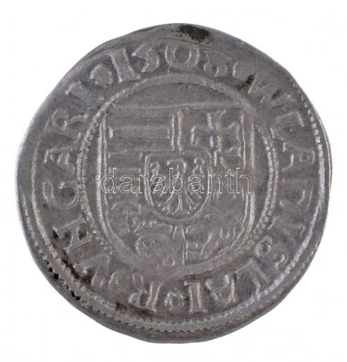 1508K-H Denár Ag II. Ulászló ... 