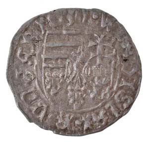 1498-1503. Denár Ag II. Ulászló (0,65g) ... 