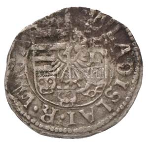 1498-1503. Denár Ag II. Ulászló (0,65g) ... 