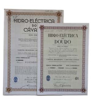 Share - Hidro-Eléctrica - 2 expl. 1.000$00, ... 