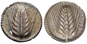 Lucania, Metaponto, Nomos, 540-510 a.C., Ag ... 