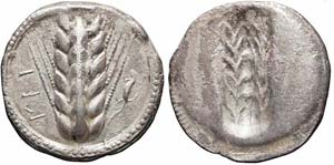 Lucania, Metaponto, Nomos, 510-470 a.C., Ag ... 