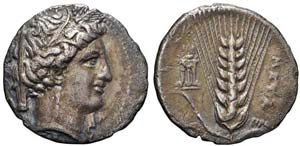 Lucania,  Metaponto,  Nomos,  340-330  a.C., ... 