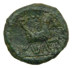 BAITOLO (Badalona) Cuadrante. S. II a 1 a.C. ... 