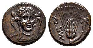 Lucania. Metapontion. AE. 300-250 BC. ... 