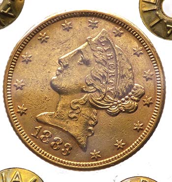 5 Dollari 1883 - Au - Perizia 