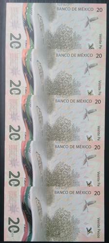 Commemorative and Polymer Banknote