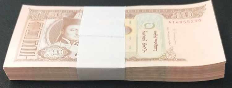 (Total 100 Banknotes), Mongolbank