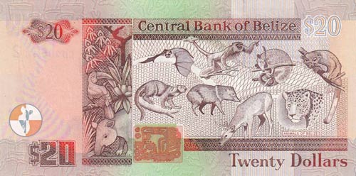 Belize, 20 Dollars, 2000, UNC,p63b