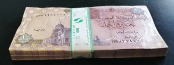 Egypt, 1 Pound, 2007, UNC, p50m, ... 