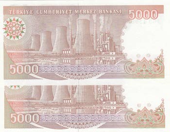 Turkey, 5.000 Lira, 1990, UNC, p198, (Total ... 