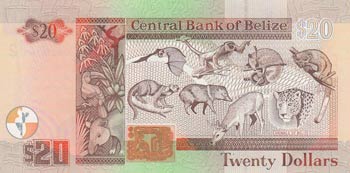 Belize, 20 Dollars, 2000, UNC, p63b