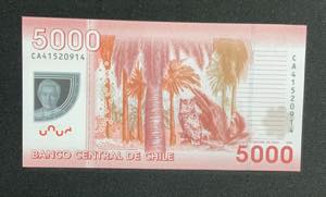 Chile, 5.000 Pesos, 2014, UNC, p163e