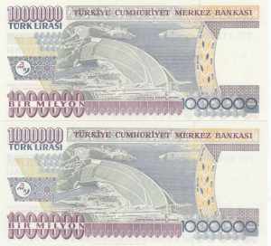 (Total 2 banknotes), S21 Team