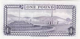 Isle of Man, 1 Pound, 1972, UNC, p29c  ... 