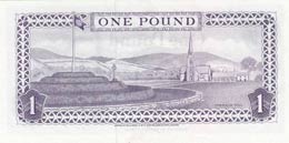 Isle of Man, 1 Pound, 1979, UNC (-),p34a