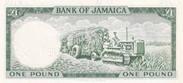 Jamaica, 1 Pound, 1964, UNC,p51Ces, SPECİMEN