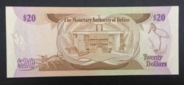 Belize, 20 Dollars, 1980, UNC,p41a