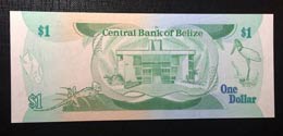 Belize, 1 Dollar, 1983, UNC,p43a
