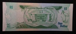 Belize, 1 Dollar, 1987, UNC,p46c