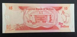 Belize, 5 Dollars, 1989, UNC,p47b
