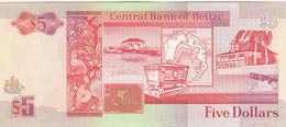 Belize, 5 Dollars, 1991, UNC,p53b