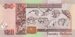 Belize, 20 Dollars, 2005, UNC,p69b