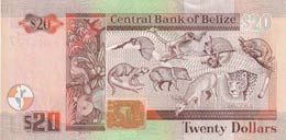 Belize, 20 Dollars, 2007, UNC,p69c