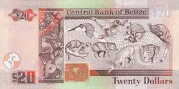 Belize, 20 Dollars, 2010, UNC,p69d