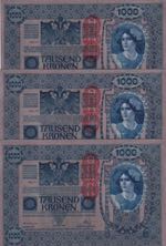 Austria, 1.000 Kronen, 1902-1919, UNC, p59, ... 