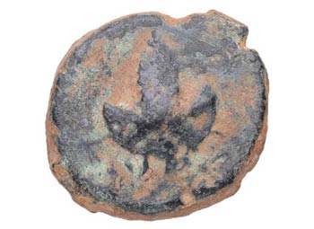 100-50 aC. Acinipo. As. AB 49. ... 