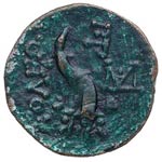 114-95 aC. Cilicia. Soloi-Pompeiopolis. ... 