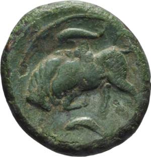 SICILIA, SIRACUSA - BRONZO317-289 a.C., D/ ... 