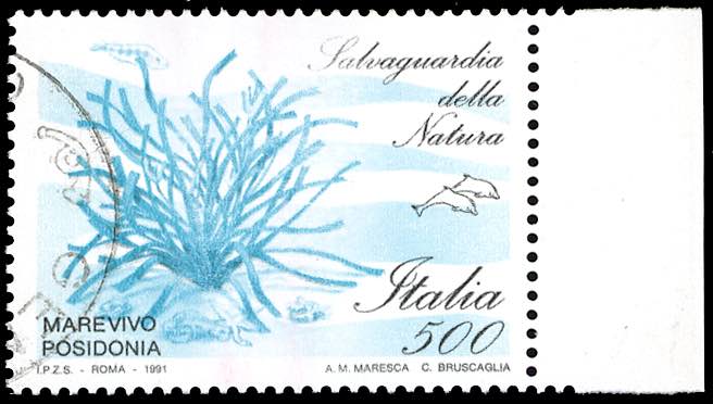 1991 - 500 lire Salvaguardia della ... 