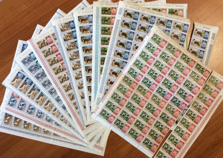 1959 - Cani, 50 serie complete in ... 